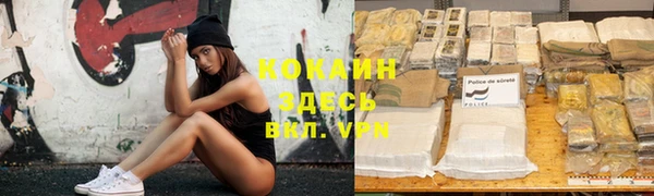 гидра Кукмор