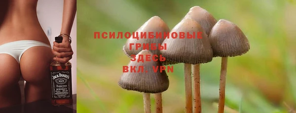 прущий лед Куйбышев