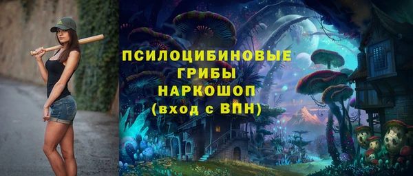 spice Кулебаки