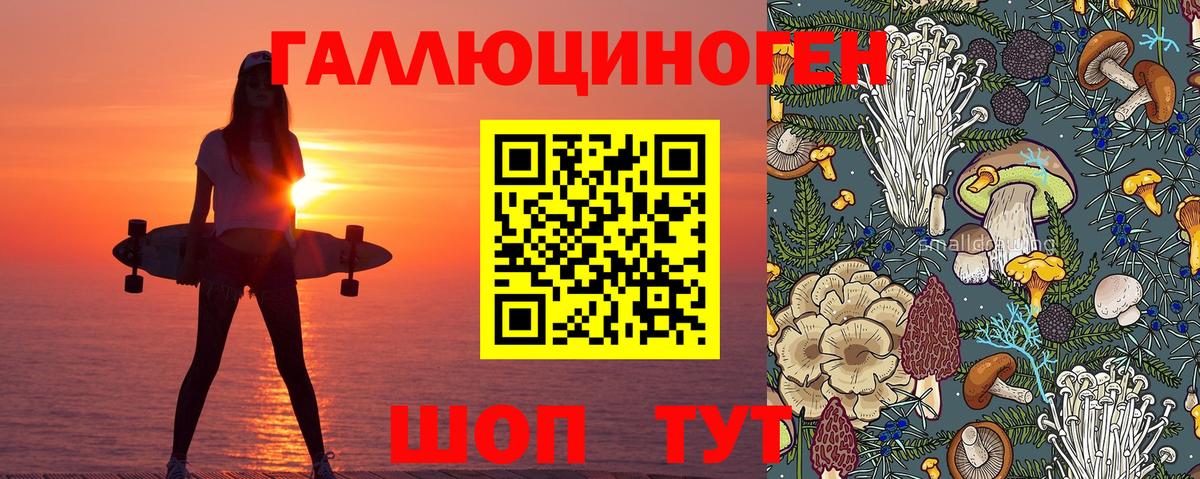 Псилоцибиновые грибы Psilocybine cubensis Ессентуки