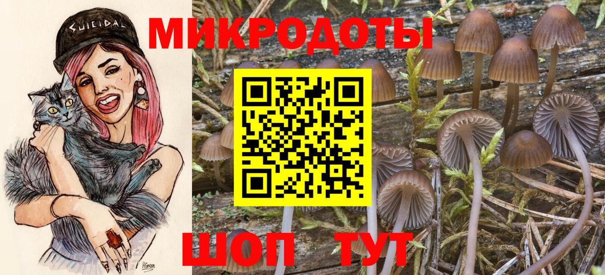 Ессентуки  Псилоцибиновые грибы Magic Shrooms  Вход с VPN 