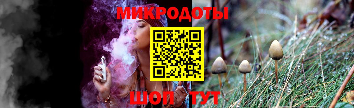 где купить   Ессентуки  Псилоцибиновые грибы MAGIC MUSHROOMS 