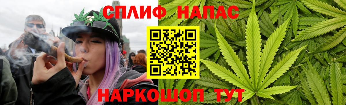 Марихуана ГИДРОПОН  Вход с VPN  Бошки марихуана сатива  Шишки марихуана марихуана  Ессентуки 